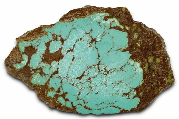 Polished Turquoise Slab - Number Mine, Carlin, NV #331195